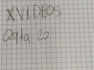 V&iacute_deo de verificaci&oacute_n