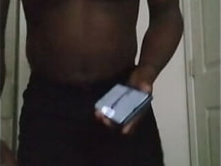 Returning from the bathroom to search for a song to listen to while celebrating the last days of butterfly zodiac from Celtic astrology for free