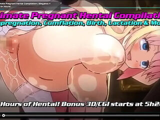 Cual es el nombre? What is the name? (Pregnant hentai)