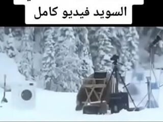 فيديو التحقق