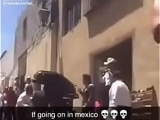 Alien Posted Up In Mexico