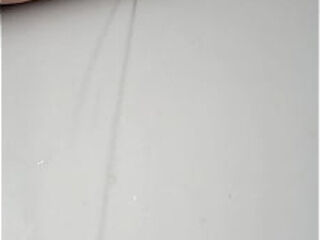 Latteria della troia