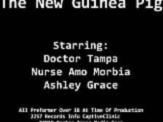 The New Guinea Pig - Alexis Grace