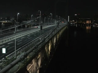 Beautiful Asian princess stuffed massive black shaft in interracial scenes