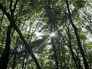 Mesmeriza 23 02 MOV CINEMA CLIP 321 20240814134325039