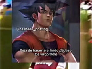 V&iacute_deo de verificaci&oacute_n