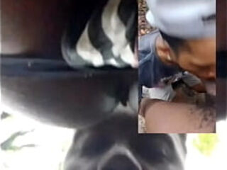 Negros no parque curtindo