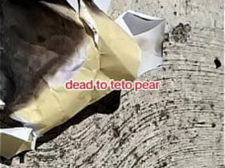 Pearto yes king do You want pain?