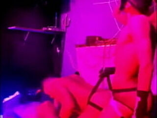 Show de Sexo ao vivo - live sex show