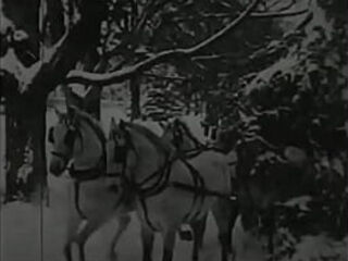 vintage erotic drawings