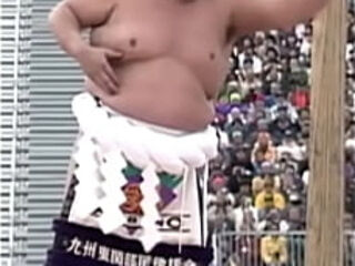 Gay sumo