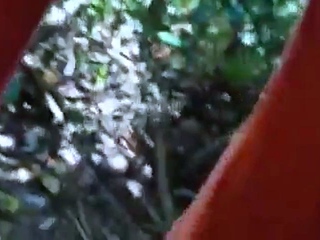 Bearded Daddy Sucks Outdoors