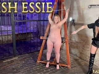 THE PRISON OFFICER - DISOBEDIENCE TRAINING