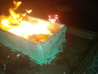 My 2020 Gingerbread Dumpster Fire