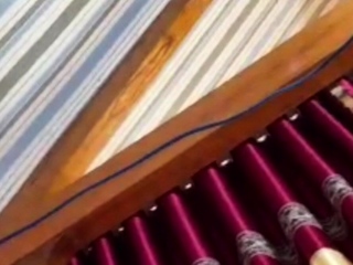 Hot Vietnam Aunty Soft Tits