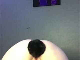 Cute Stacked Teen Plugs Her Tight Ass With Her Bunny Tail Before Fucking Herself With Her Anal Dildo | The Panty Bank - Used Panties