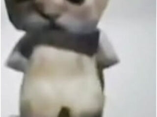 El gato dancing
