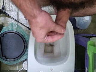 Peludo dando uma geral na mata