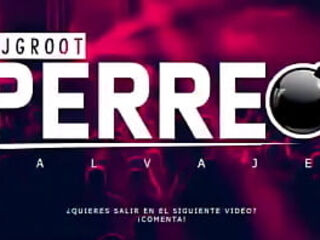 Mix Perreo Salvaje - Mix Reggaeton Antiguo