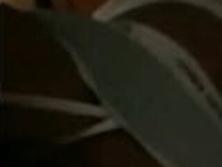 Botando pra mama na sexta