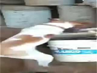 G5 fudendo com sua sanidade mental