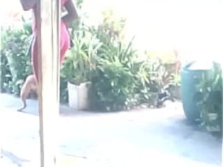 Phat pussy Jamaican bartender