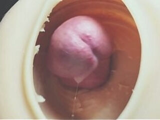 Gape Creampie Close Up Compilation