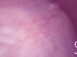 Fucked in my Pussy   Camera in my Bladder = Crazy Bulge!