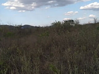 Sem ningu&eacute_m - onde onde os viados acasalam