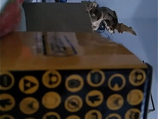 Unboxing caneca do miranha fodendo a caixa de papel&atilde_o safada