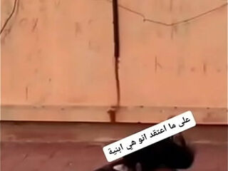 فيديو التحقق