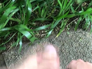 Iconic collection of amazing public and outdoor handjobs and blowjobs