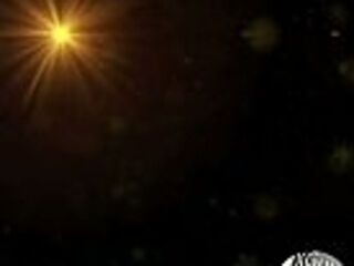 Only image Strip Fighters